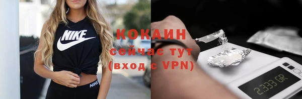 дмт Карпинск