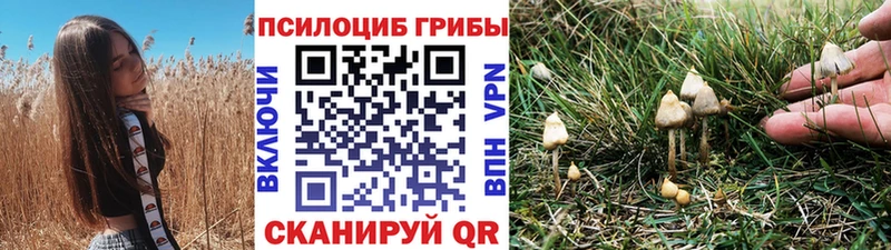Галлюциногенные грибы мицелий  MEGA маркетплейс  Ноябрьск 